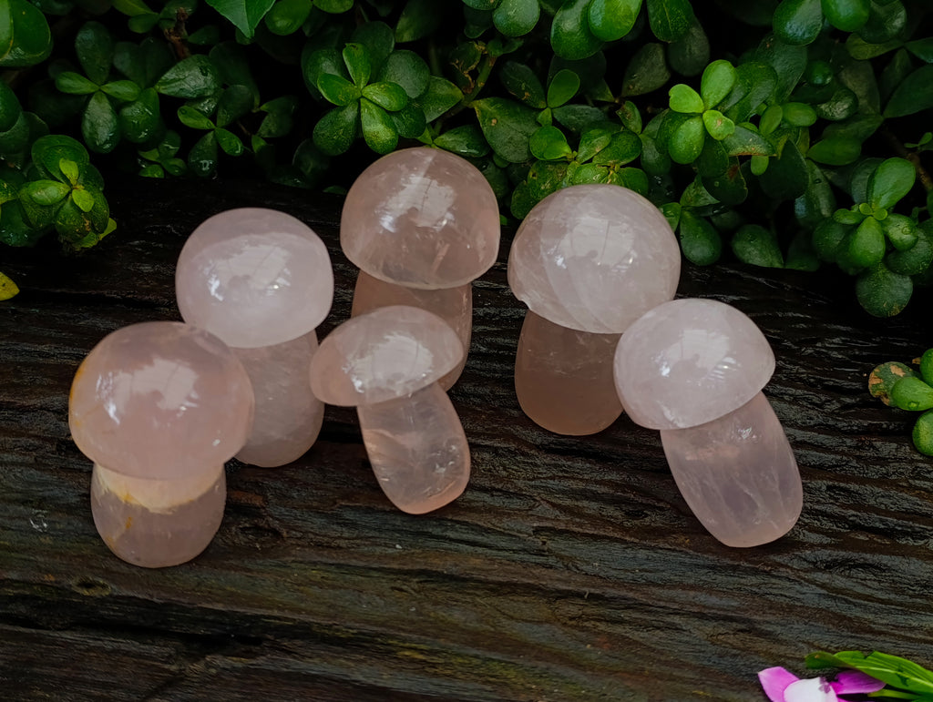 Polished Rose Quartz Mushrooms x 6 From Ambatondrazaka, Madagascar - Toprock Gemstones and Minerals 