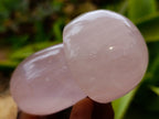 Polished Rose Quartz Mushrooms x 6 From Ambatondrazaka, Madagascar - Toprock Gemstones and Minerals 
