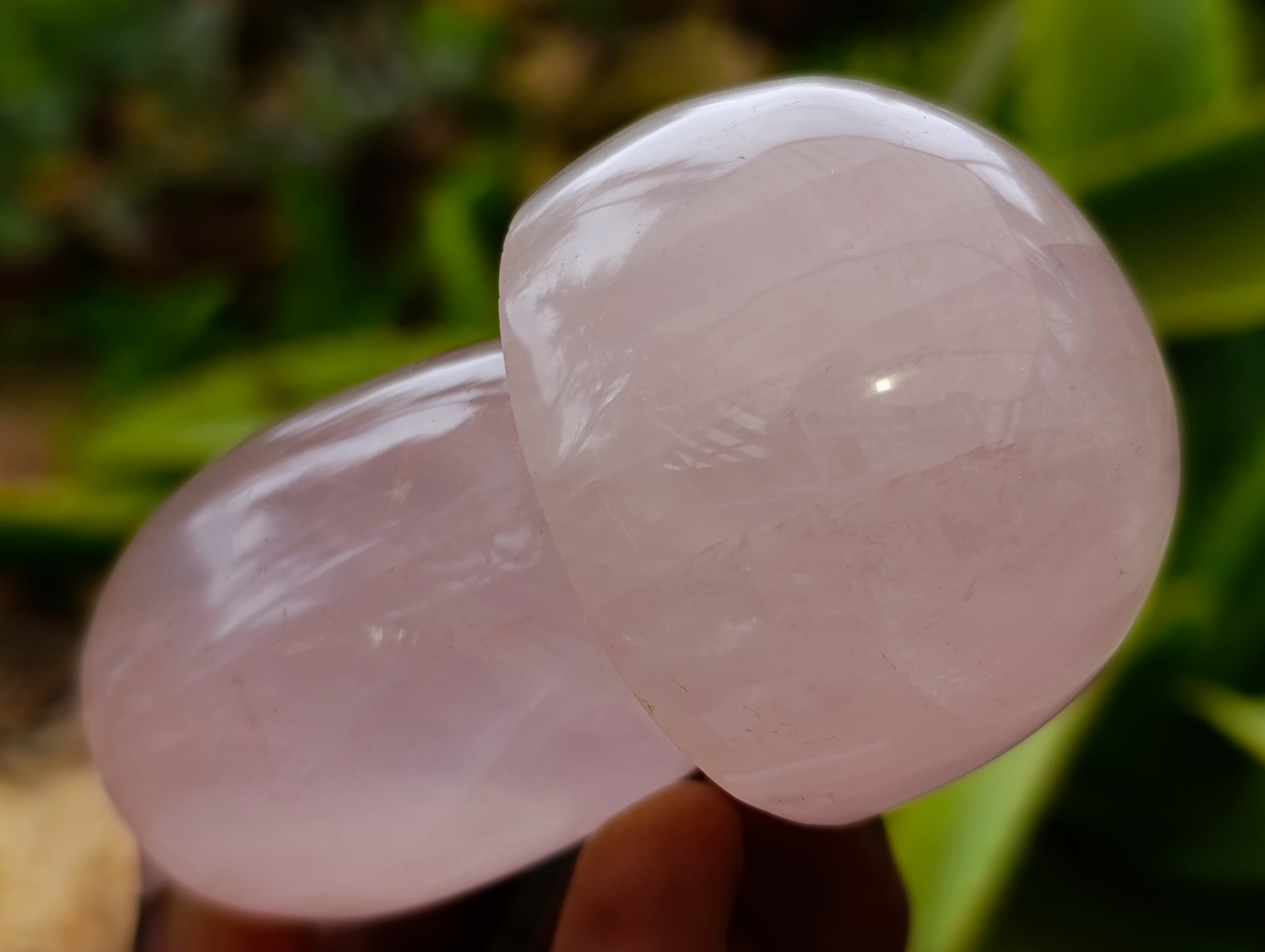 Polished Rose Quartz Mushrooms x 6 From Ambatondrazaka, Madagascar - Toprock Gemstones and Minerals 