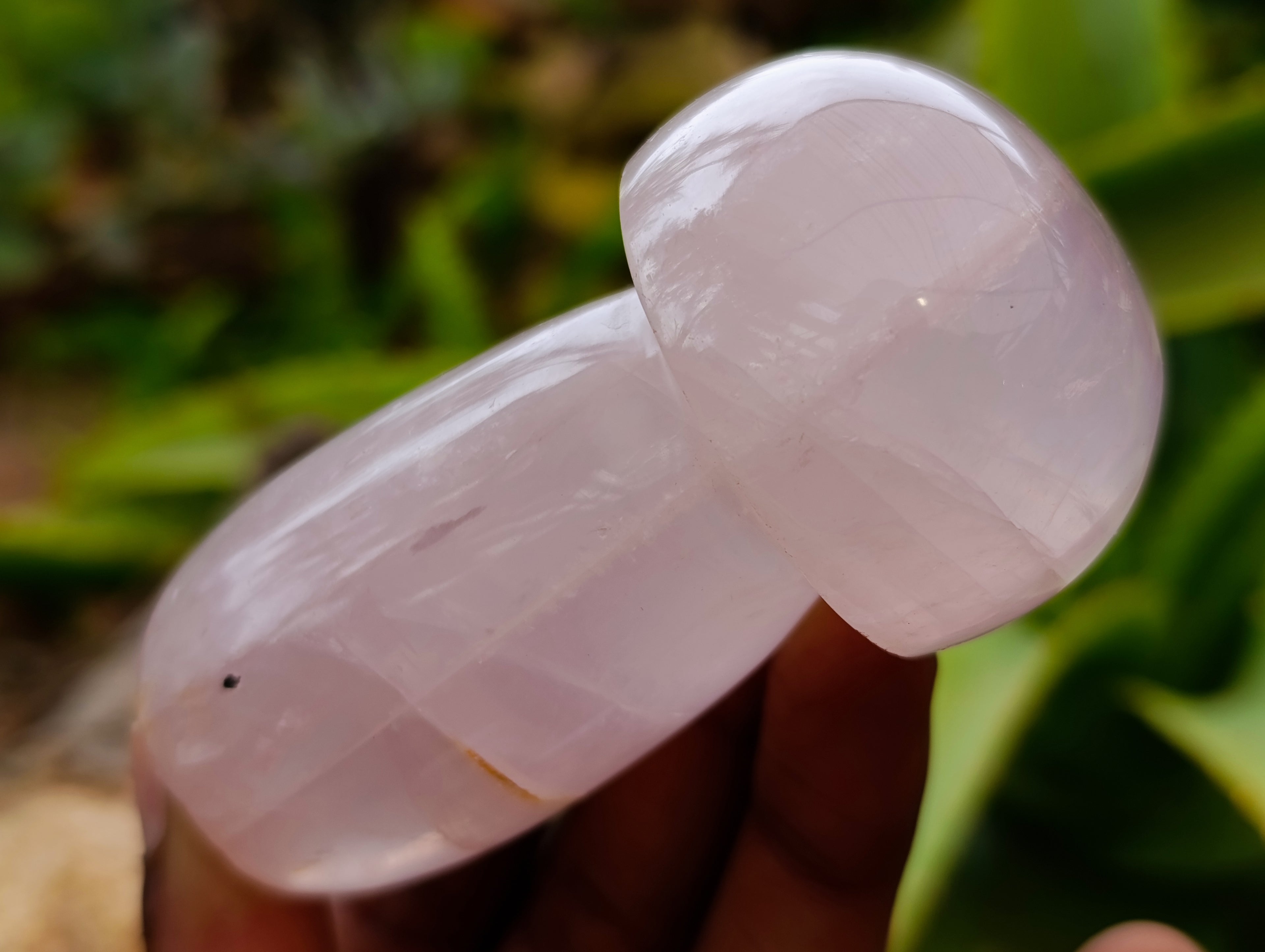 Polished Rose Quartz Mushrooms x 6 From Ambatondrazaka, Madagascar - Toprock Gemstones and Minerals 