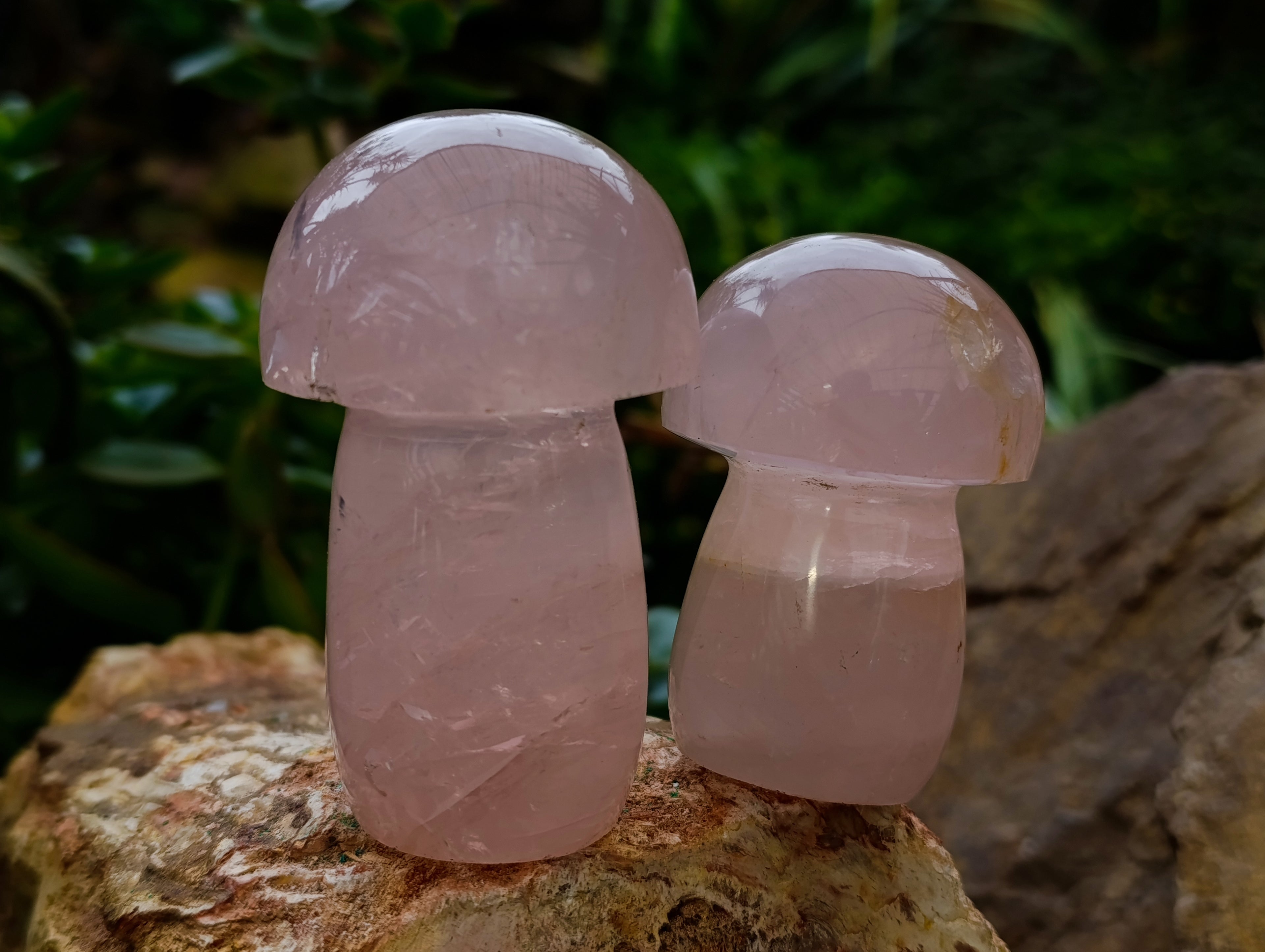 Polished Rose Quartz Mushrooms x 6 From Ambatondrazaka, Madagascar - Toprock Gemstones and Minerals 