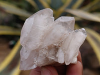 Natural Red Hematoid Quartz Crystals x 35 From Karoi, Zimbabwe