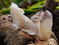 Natural Red Hematoid Quartz Crystals x 35 From Karoi, Zimbabwe
