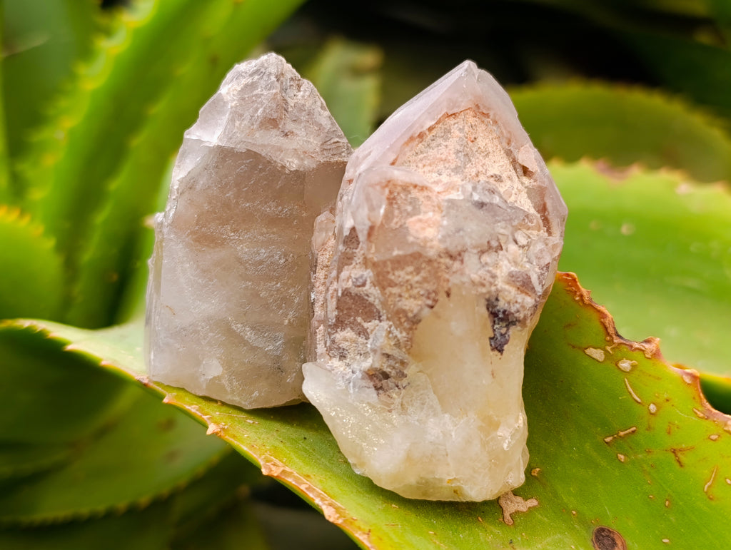 Natural Red Hematoid Quartz Crystals x 35 From Karoi, Zimbabwe - Toprock Gemstones and Minerals 