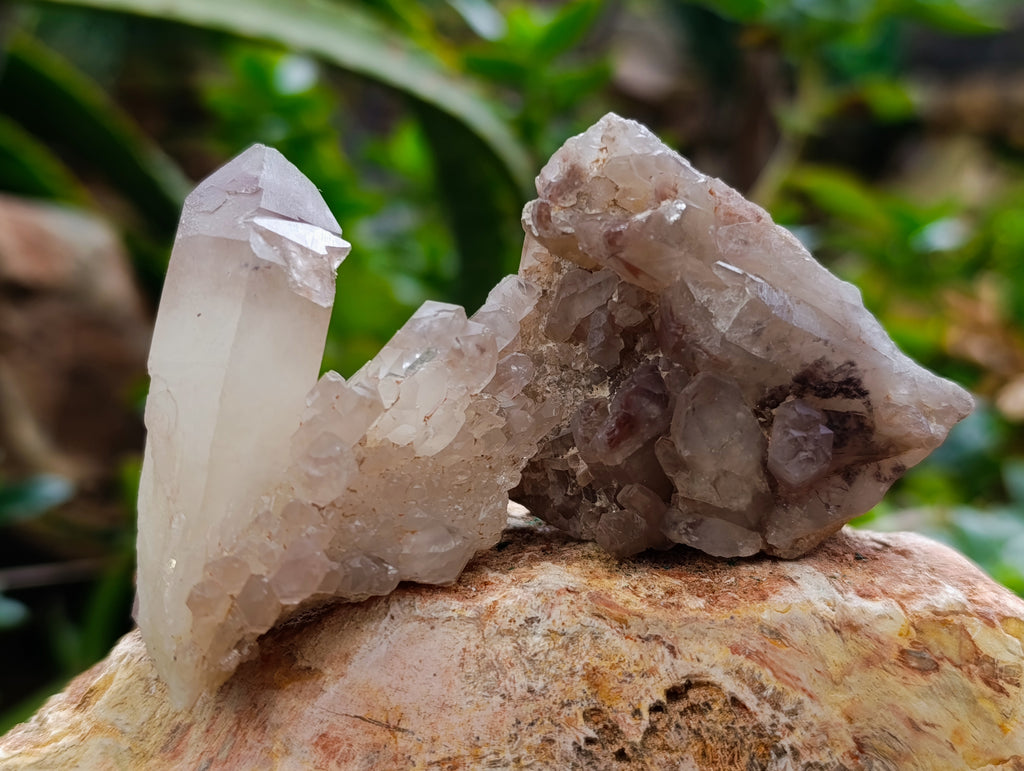 Natural Red Hematoid Quartz Crystals x 35 From Karoi, Zimbabwe - Toprock Gemstones and Minerals 