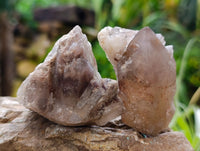 Natural Red Hematoid Quartz Crystals x 35 From Karoi, Zimbabwe
