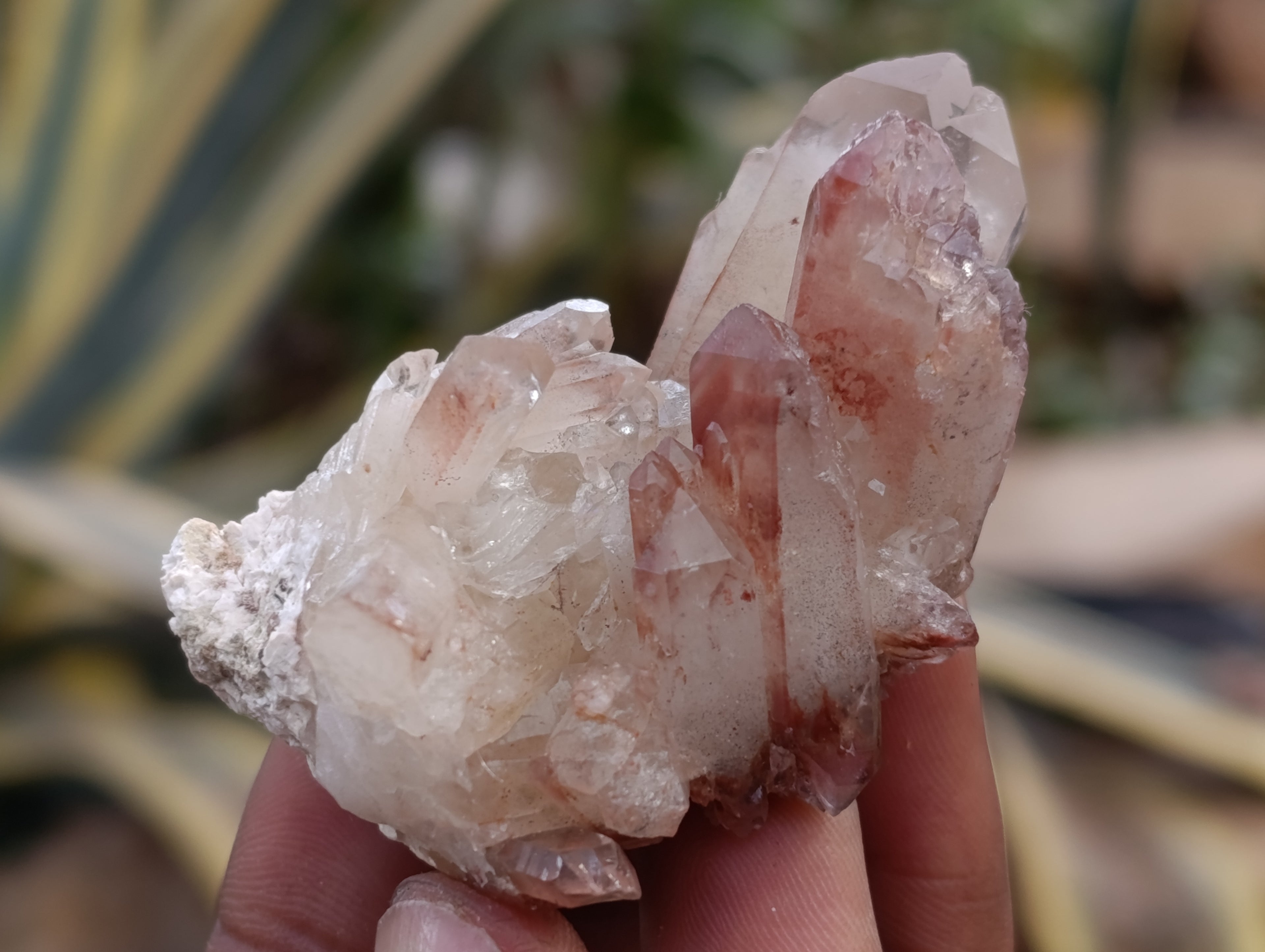 Natural Red Hematoid Quartz Crystals x 35 From Karoi, Zimbabwe - Toprock Gemstones and Minerals 