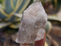 Natural Red Hematoid Quartz Crystals x 35 From Karoi, Zimbabwe