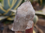 Natural Red Hematoid Quartz Crystals x 35 From Karoi, Zimbabwe - Toprock Gemstones and Minerals 