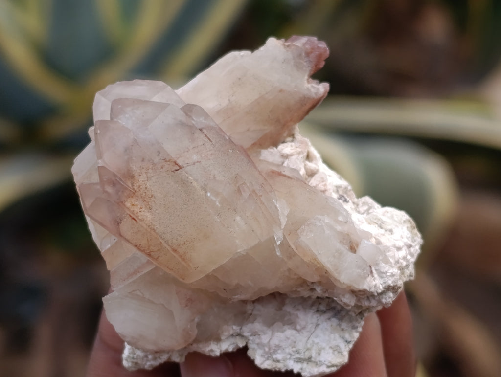 Natural Red Hematoid Quartz Crystals x 35 From Karoi, Zimbabwe - Toprock Gemstones and Minerals 
