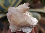 Natural Red Hematoid Quartz Crystals x 35 From Karoi, Zimbabwe - Toprock Gemstones and Minerals 