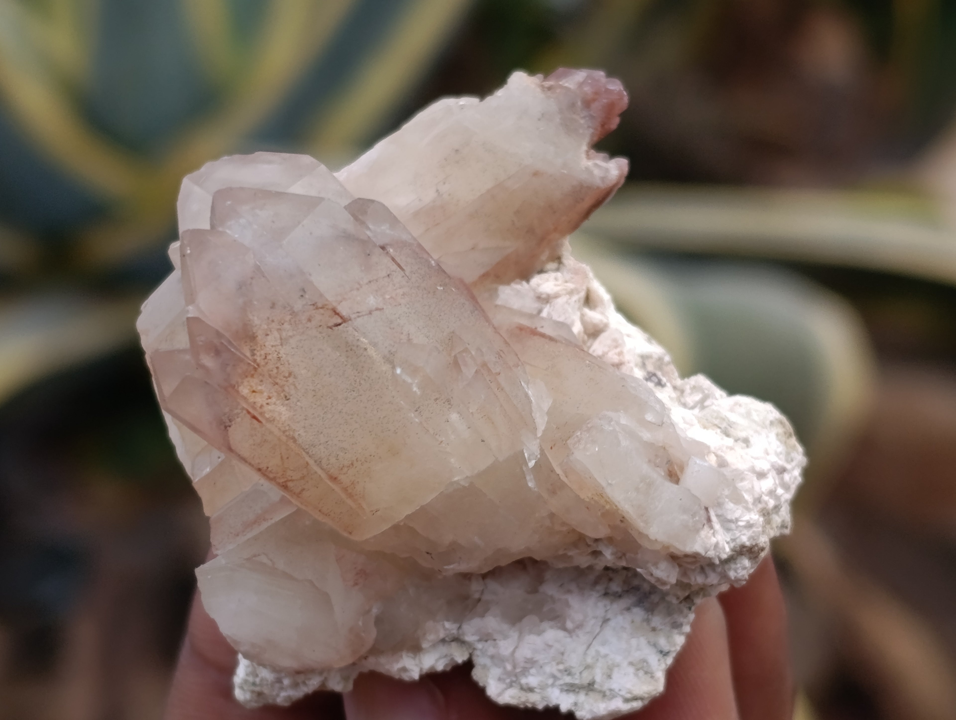 Natural Red Hematoid Quartz Crystals x 35 From Karoi, Zimbabwe - Toprock Gemstones and Minerals 