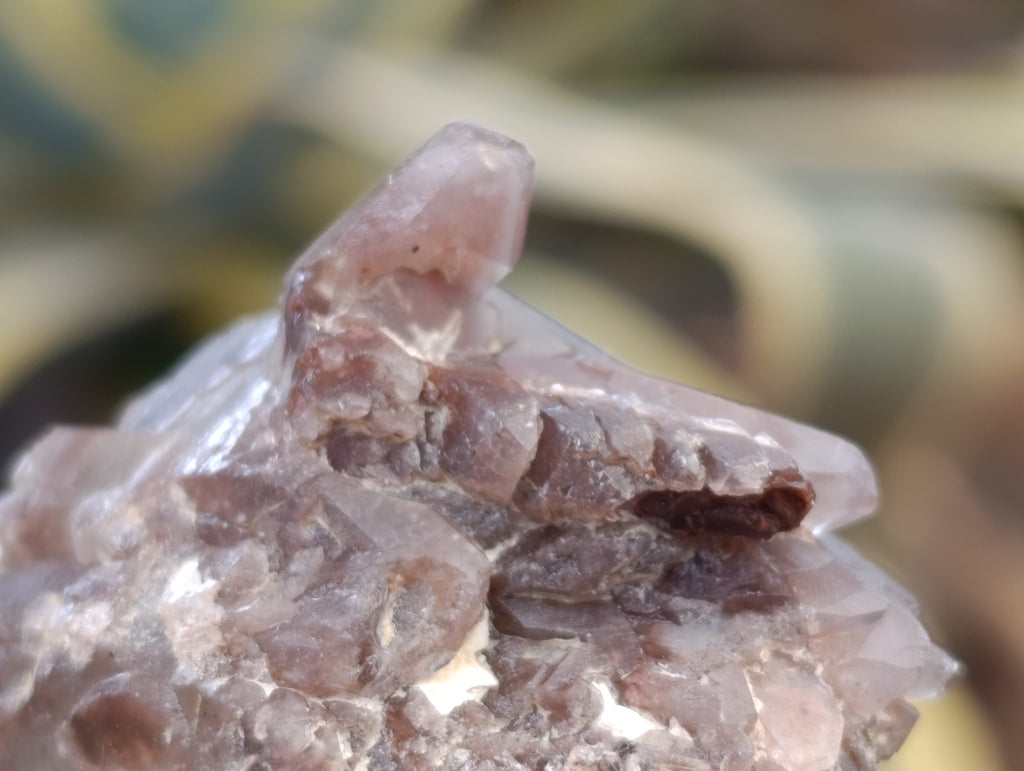 Natural Red Hematoid Quartz Crystals x 35 From Karoi, Zimbabwe - Toprock Gemstones and Minerals 