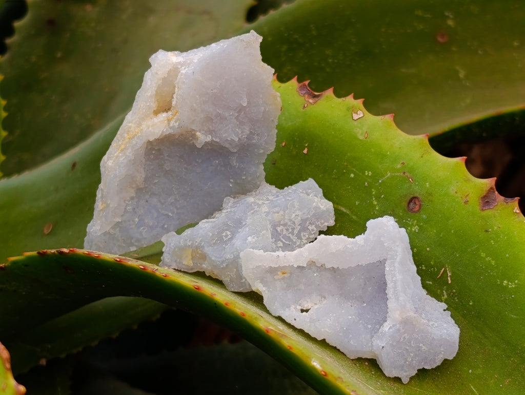 Natural Etched Blue Chalcedony Geodes x 16 From Nsanje, Malawi - Toprock Gemstones and Minerals 