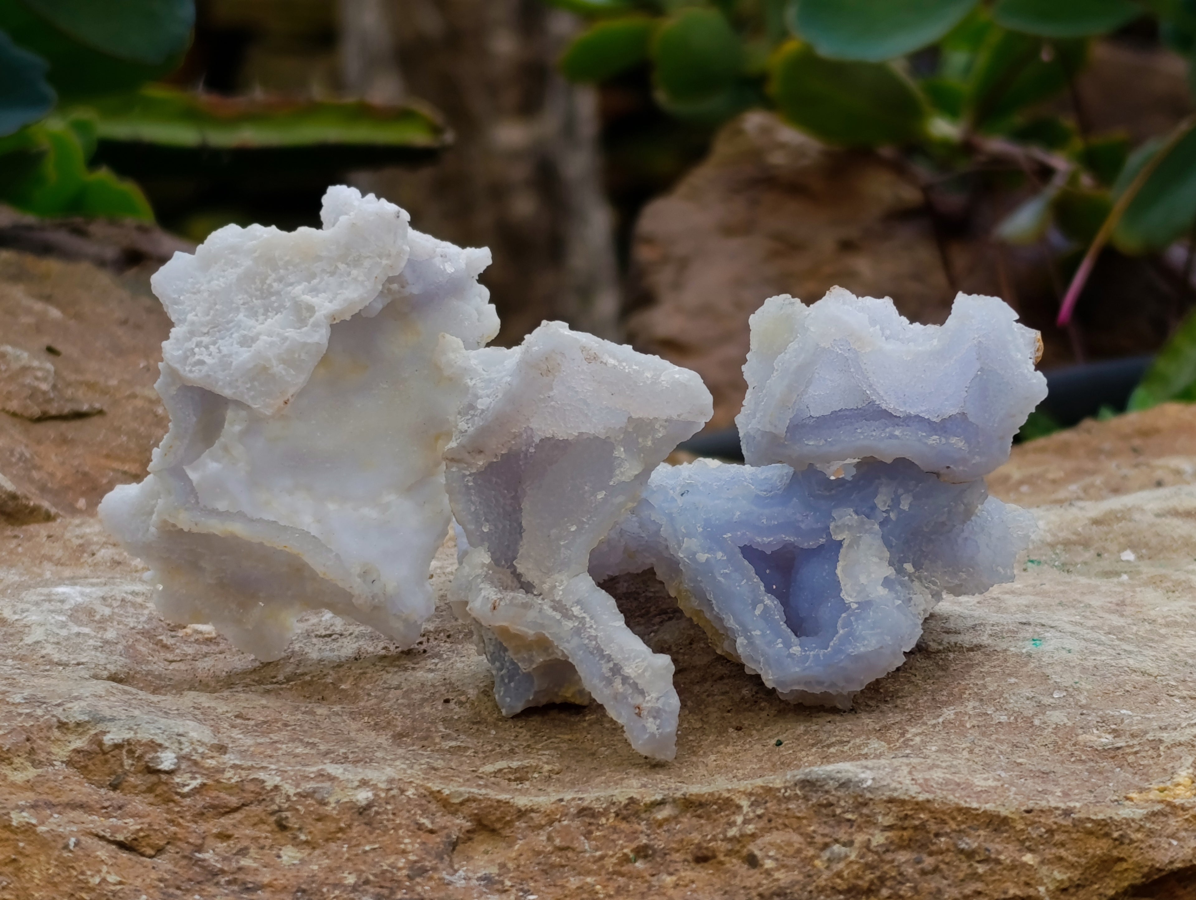 Natural Etched Blue Chalcedony Geodes x 16 From Nsanje, Malawi - Toprock Gemstones and Minerals 