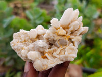 Natural Fairy Spirit Quartz Clusters x 12 From Boekenhouthoek, South Africa - Toprock Gemstones and Minerals 