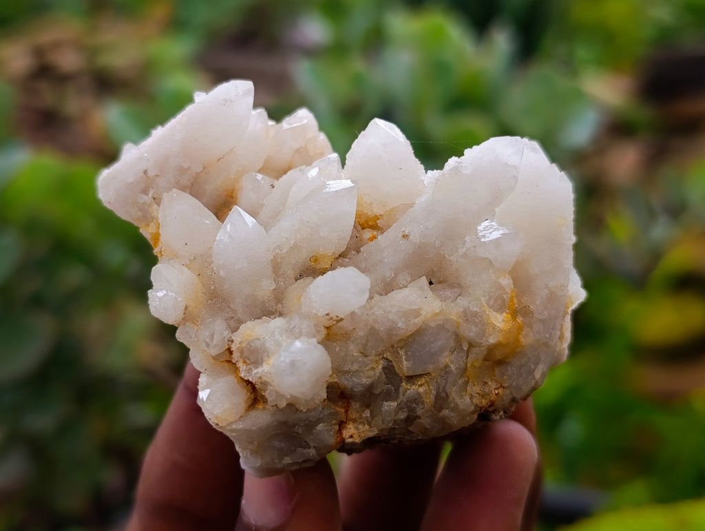 Natural Fairy Spirit Quartz Clusters x 12 From Boekenhouthoek, South Africa - Toprock Gemstones and Minerals 