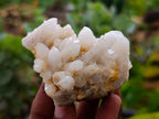 Natural Fairy Spirit Quartz Clusters x 12 From Boekenhouthoek, South Africa - Toprock Gemstones and Minerals 
