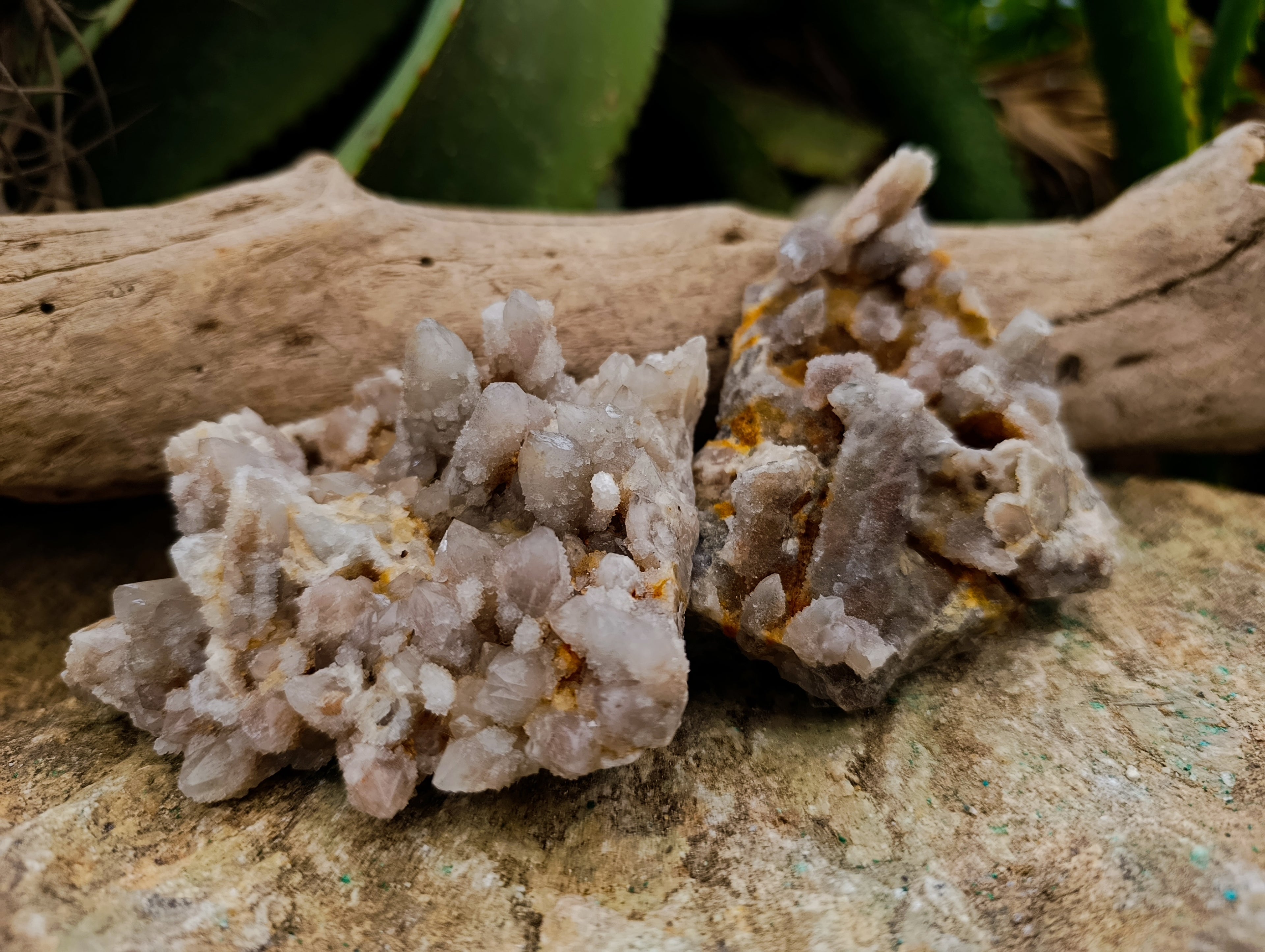 Natural Fairy Spirit Quartz Clusters x 12 From Boekenhouthoek, South Africa - Toprock Gemstones and Minerals 