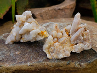 Natural Fairy Spirit Quartz Clusters x 12 From Boekenhouthoek, South Africa - Toprock Gemstones and Minerals 