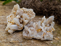Natural Fairy Spirit Quartz Clusters x 12 From Boekenhouthoek, South Africa - Toprock Gemstones and Minerals 