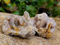 Natural Fairy Spirit Quartz Clusters x 12 From Boekenhouthoek, South Africa - Toprock Gemstones and Minerals 