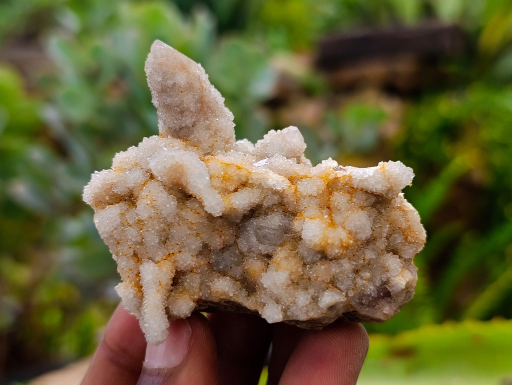 Natural Fairy Spirit Quartz Clusters x 12 From Boekenhouthoek, South Africa - Toprock Gemstones and Minerals 
