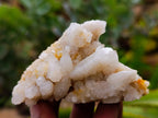 Natural Fairy Spirit Quartz Clusters x 12 From Boekenhouthoek, South Africa - Toprock Gemstones and Minerals 