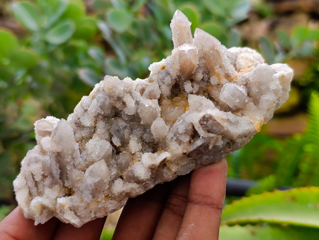 Natural Fairy Spirit Quartz Clusters x 12 From Boekenhouthoek, South Africa - Toprock Gemstones and Minerals 