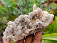 Natural Fairy Spirit Quartz Clusters x 12 From Boekenhouthoek, South Africa - Toprock Gemstones and Minerals 