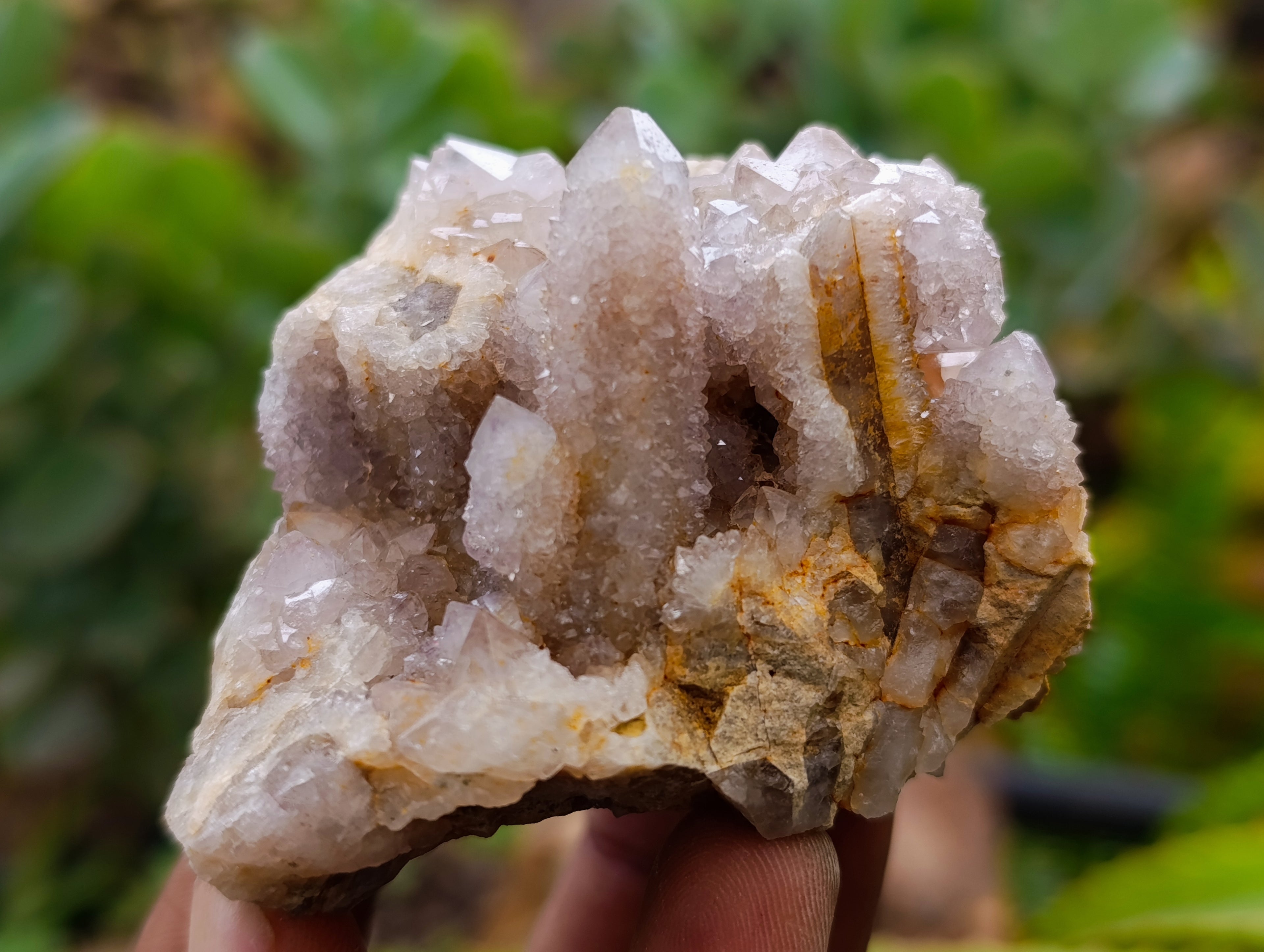 Natural Fairy Spirit Quartz Clusters x 12 From Boekenhouthoek, South Africa - Toprock Gemstones and Minerals 