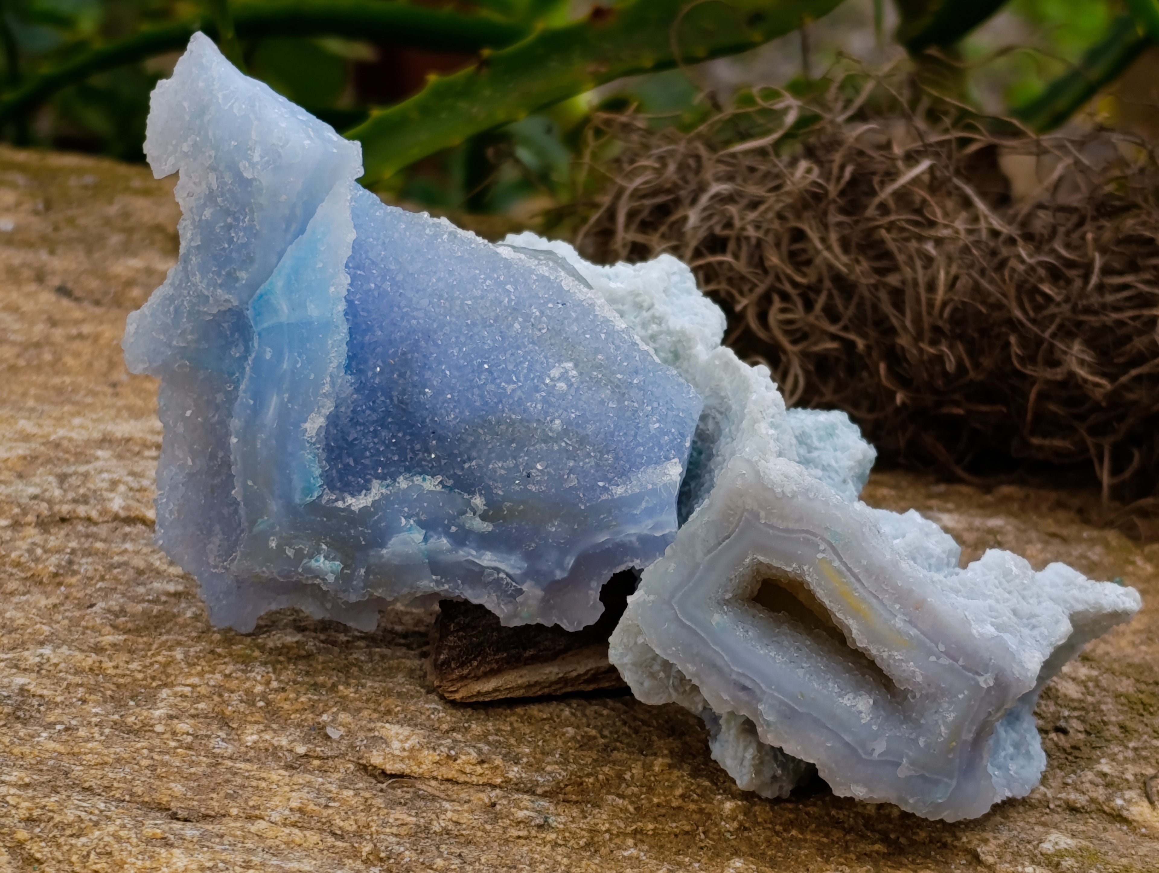 Natural Etched Blue Chalcedony Specimens x 12 From Nsanje, Malawi - Toprock Gemstones and Minerals 