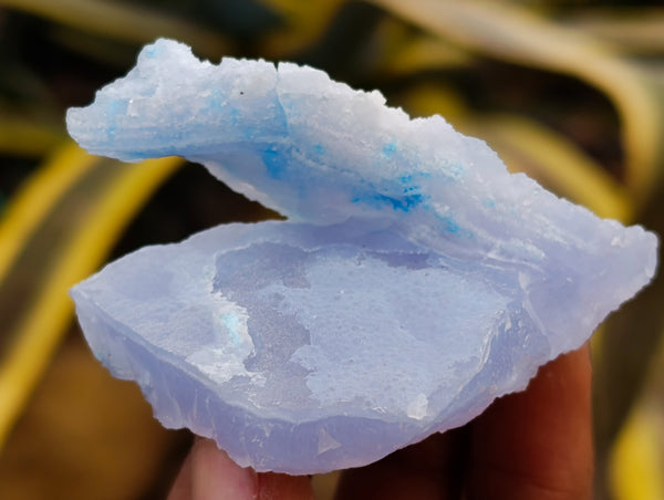 Natural Etched Blue Chalcedony Specimens x 12 From Nsanje, Malawi - Toprock Gemstones and Minerals 