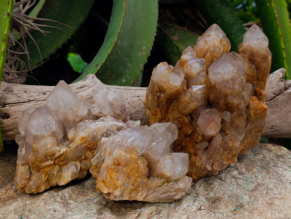 Natural Smokey Phantom Quartz Clusters x 3 From Luena, Congo