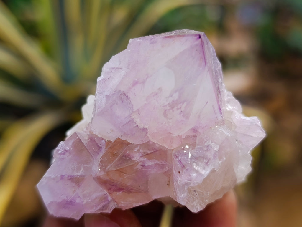 Natural Dark Purple Amethyst Spirit Quartz Clusters x 12 From Boekenhouthoek, South Africa - Toprock Gemstones and Minerals 
