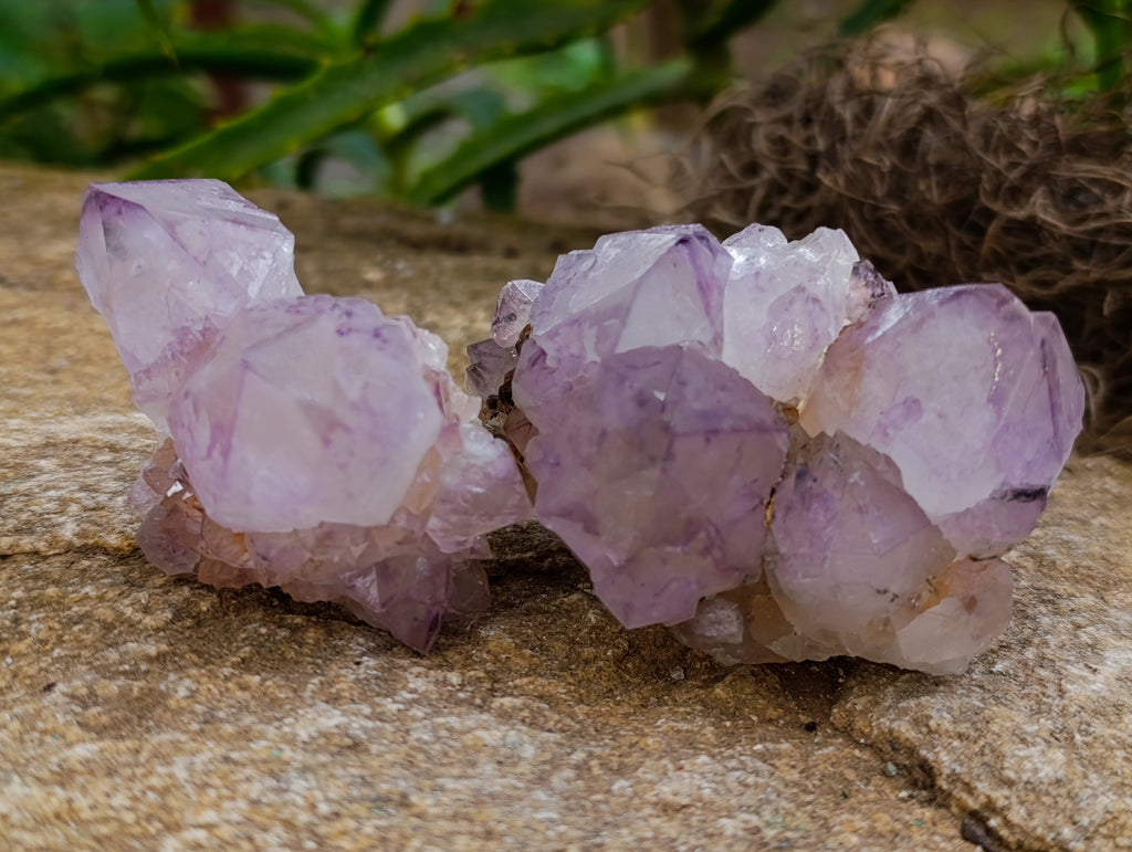 Natural Dark Purple Amethyst Spirit Quartz Clusters x 12 From Boekenhouthoek, South Africa - Toprock Gemstones and Minerals 