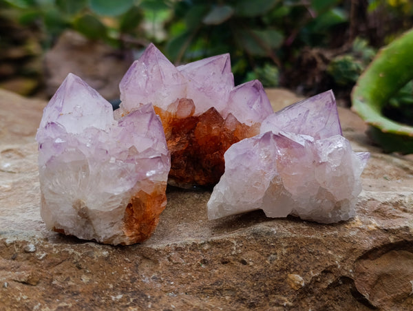 Natural Dark Purple Amethyst Spirit Quartz Clusters x 12 From Boekenhouthoek, South Africa - Toprock Gemstones and Minerals 