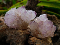 Natural Dark Purple Amethyst Spirit Quartz Clusters x 12 From Boekenhouthoek, South Africa - Toprock Gemstones and Minerals 