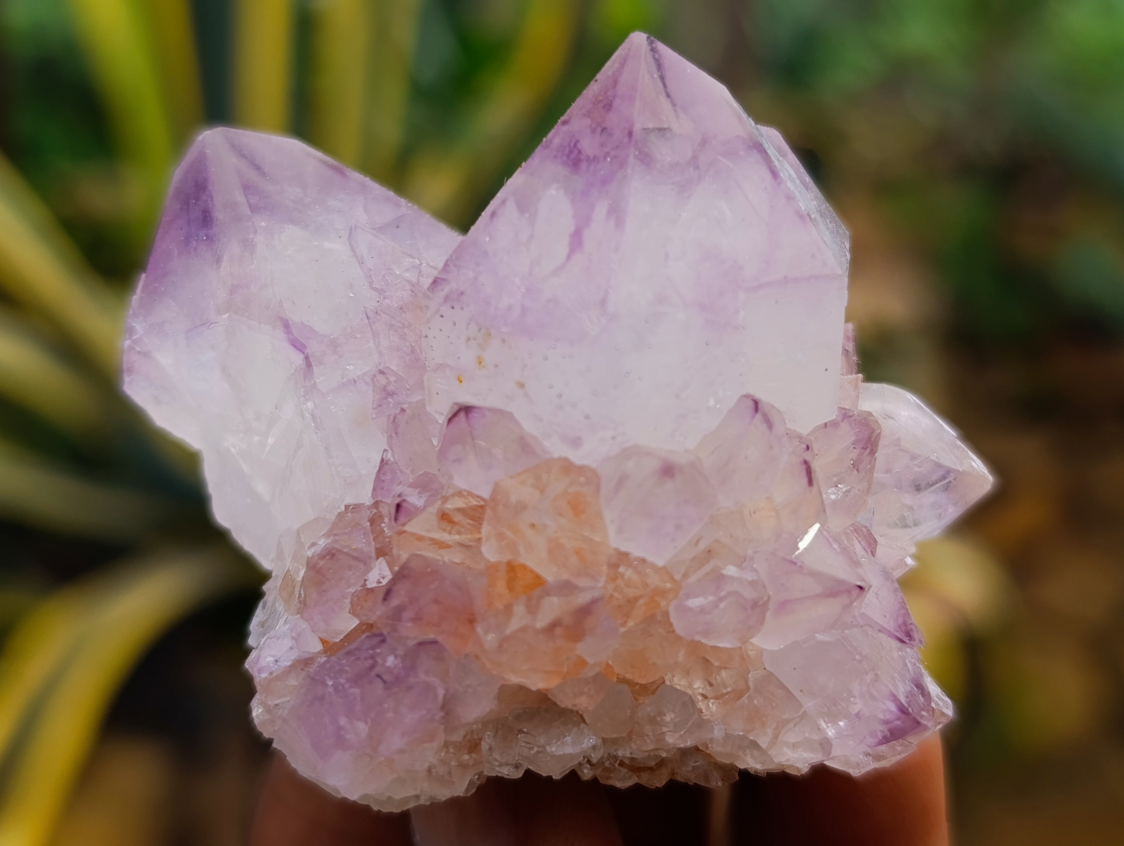 Natural Dark Purple Amethyst Spirit Quartz Clusters x 12 From Boekenhouthoek, South Africa - Toprock Gemstones and Minerals 