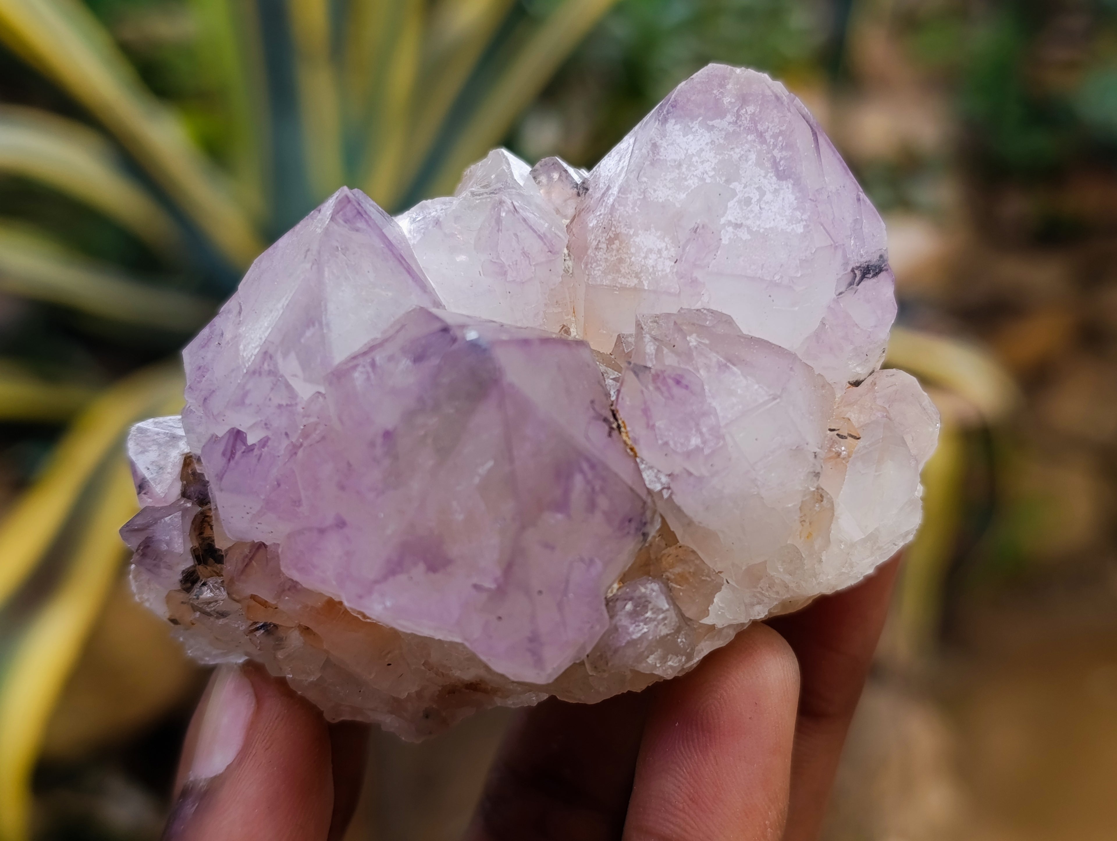 Natural Dark Purple Amethyst Spirit Quartz Clusters x 12 From Boekenhouthoek, South Africa - Toprock Gemstones and Minerals 