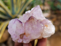 Natural Dark Purple Amethyst Spirit Quartz Clusters x 12 From Boekenhouthoek, South Africa - Toprock Gemstones and Minerals 