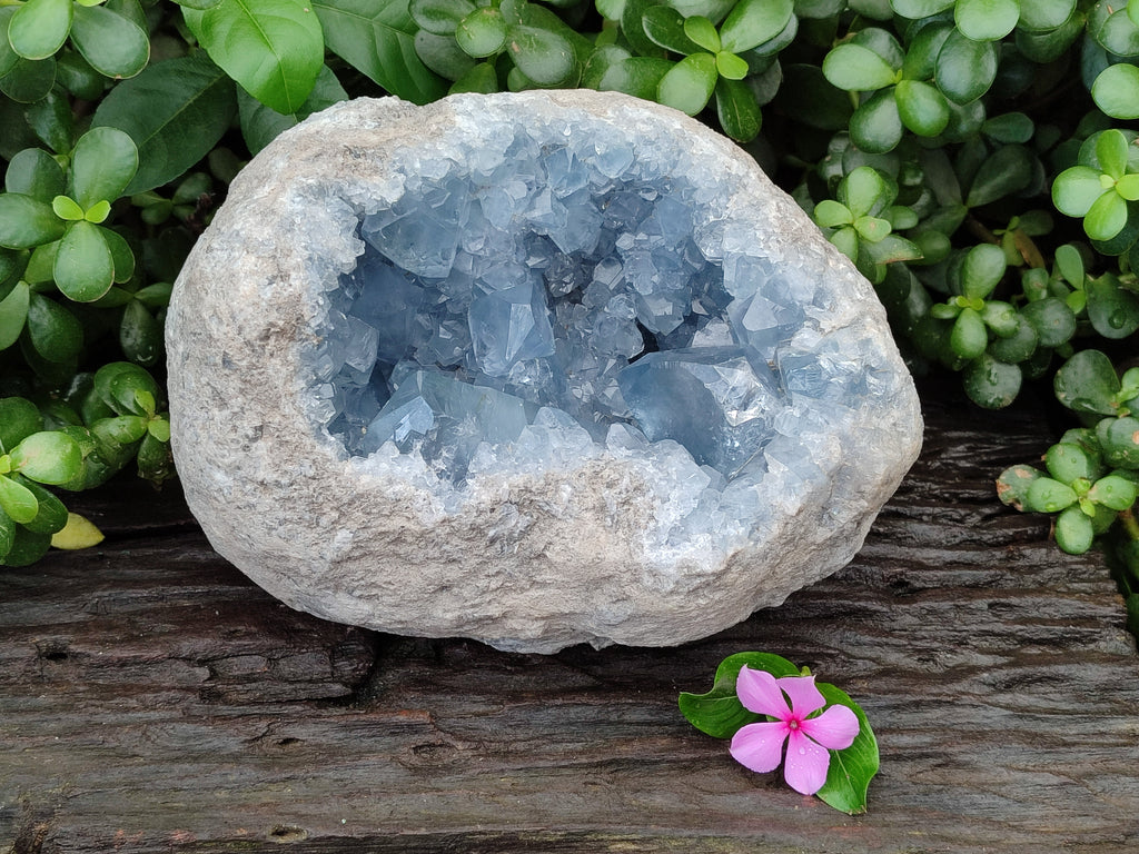 Natural Large Celestite Geode Specimen x 1 From Sakoany, Madagascar - Toprock Gemstones and Minerals 