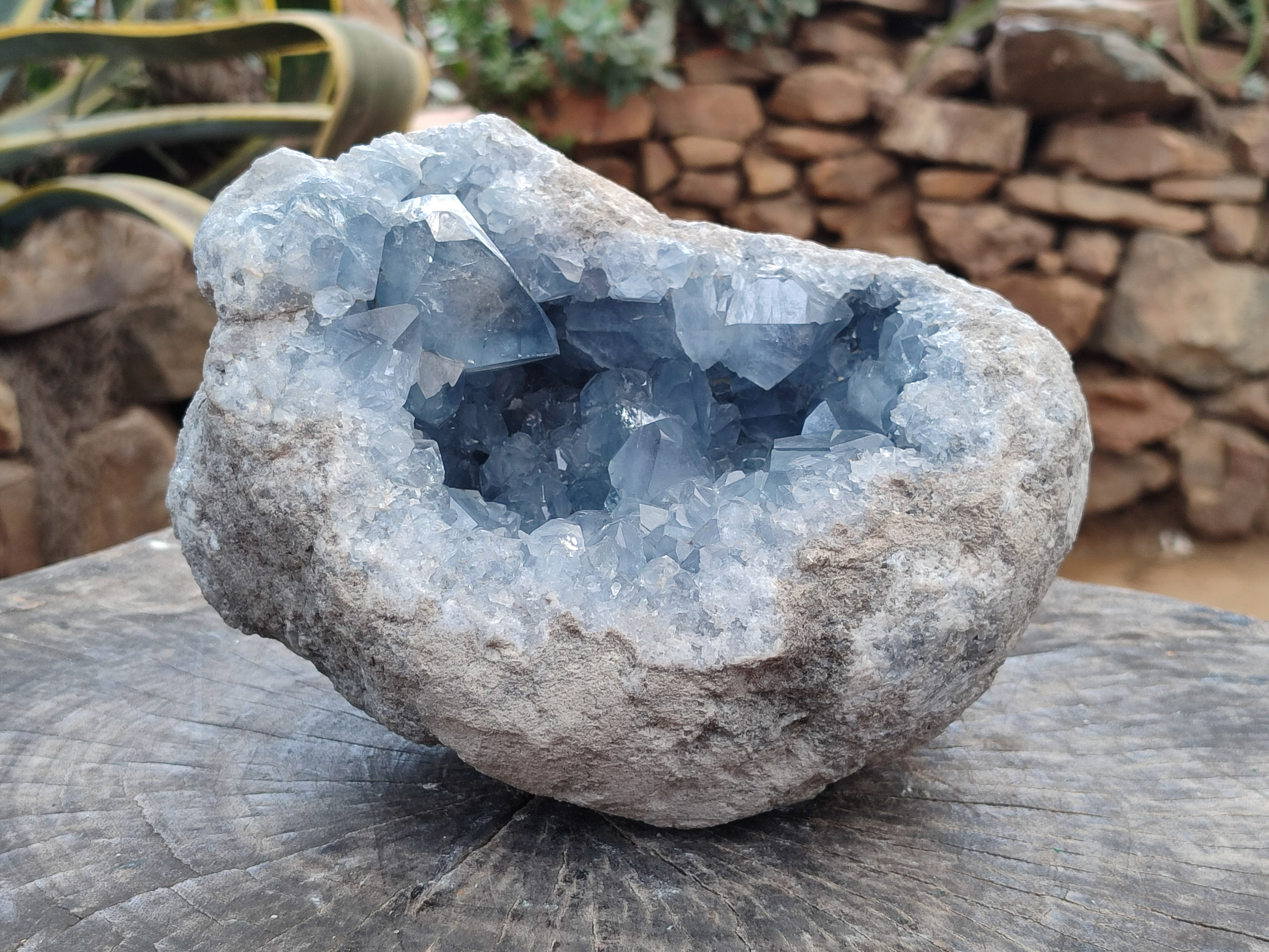 Natural Large Celestite Geode Specimen x 1 From Sakoany, Madagascar - Toprock Gemstones and Minerals 