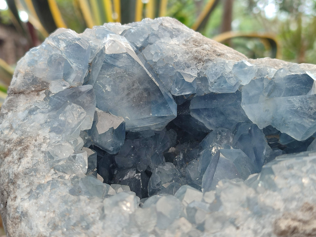 Natural Large Celestite Geode Specimen x 1 From Sakoany, Madagascar - Toprock Gemstones and Minerals 