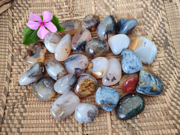 Polished Dendritic Agate Free Forms x 49 From Madagascar