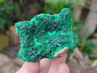 Natural Silky Malachite Specimens x 6 From Kasompe, Congo