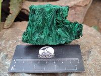 Natural Silky Malachite Specimens x 6 From Kasompe, Congo