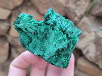 Natural Silky Malachite Specimens x 6 From Kasompe, Congo