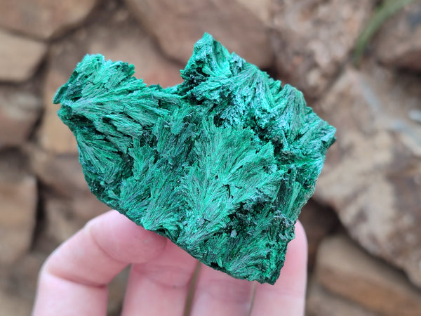 Natural Silky Malachite Specimens x 6 From Kasompe, Congo