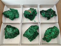 Natural Silky Malachite Specimens x 6 From Kasompe, Congo